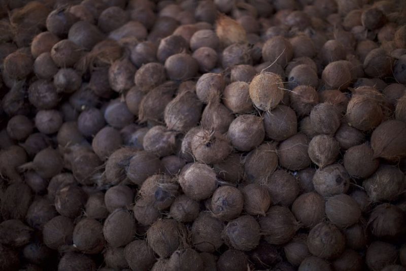 Se dieron cuenta que los restos del coco estaban regados por todos lados, desperdiciándose. Se preguntaron: ¿por qué no sacarle provecho? Y hoy hacen carbón con lo que antes era basura. Foto: Conservamos por Naturaleza, tomada de Mongaba Latam.