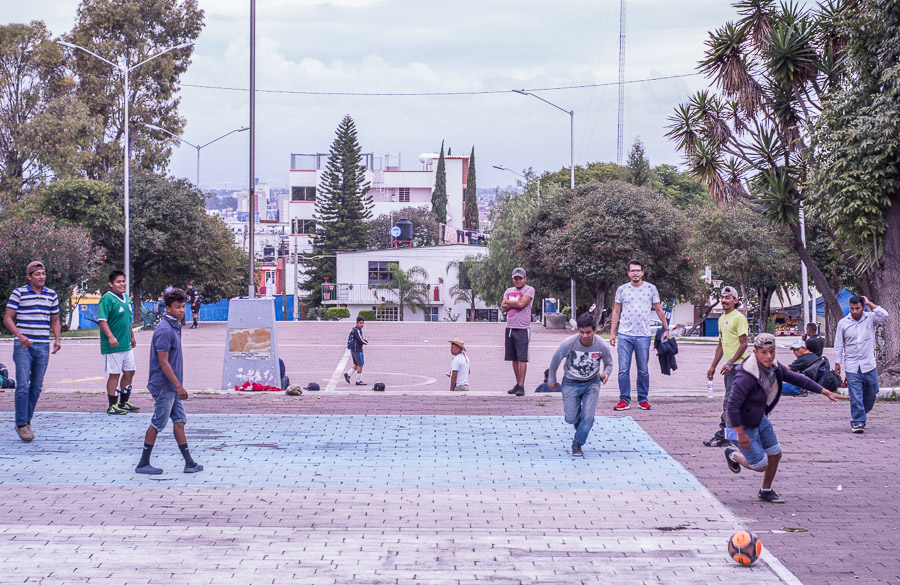 xodo Migrantes 1 2
