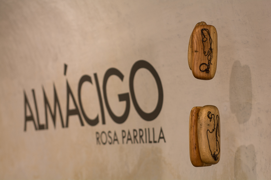 almácigo Rosa Parrilla expo 8