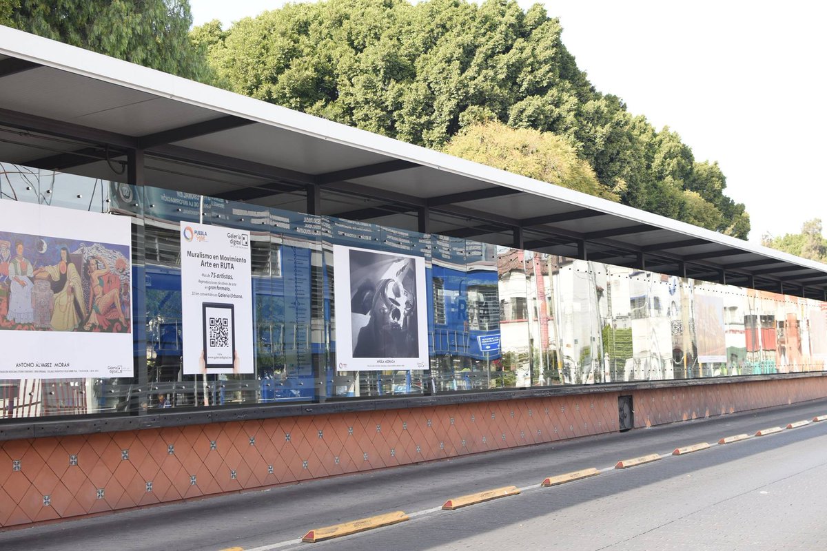 Alma 5 Galería RUTA