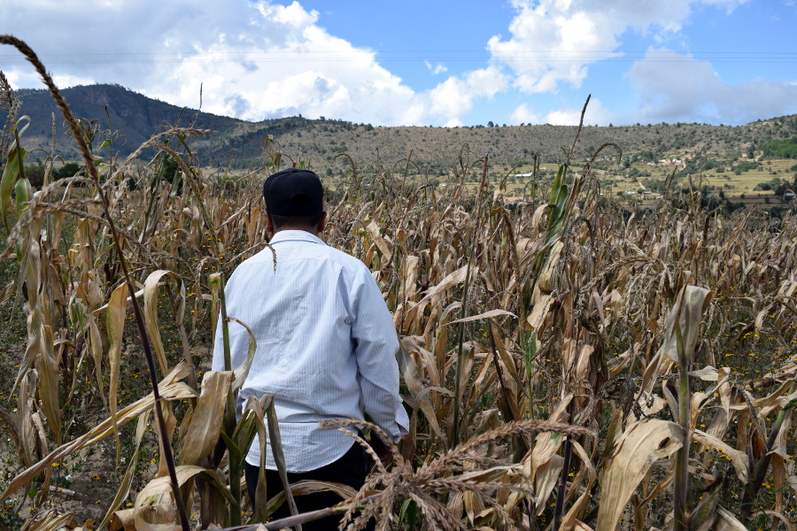 Empresas acaparan el agua afectando a cientos de campesinos en Puebla