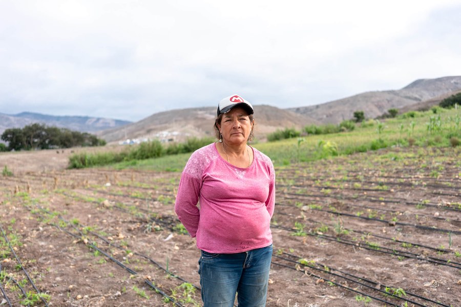 agricultura