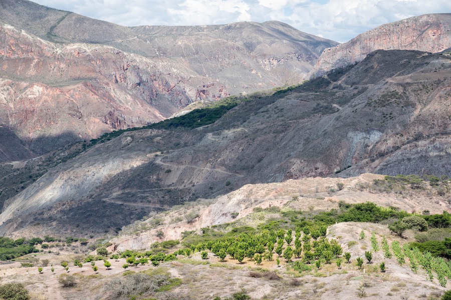 agricultura