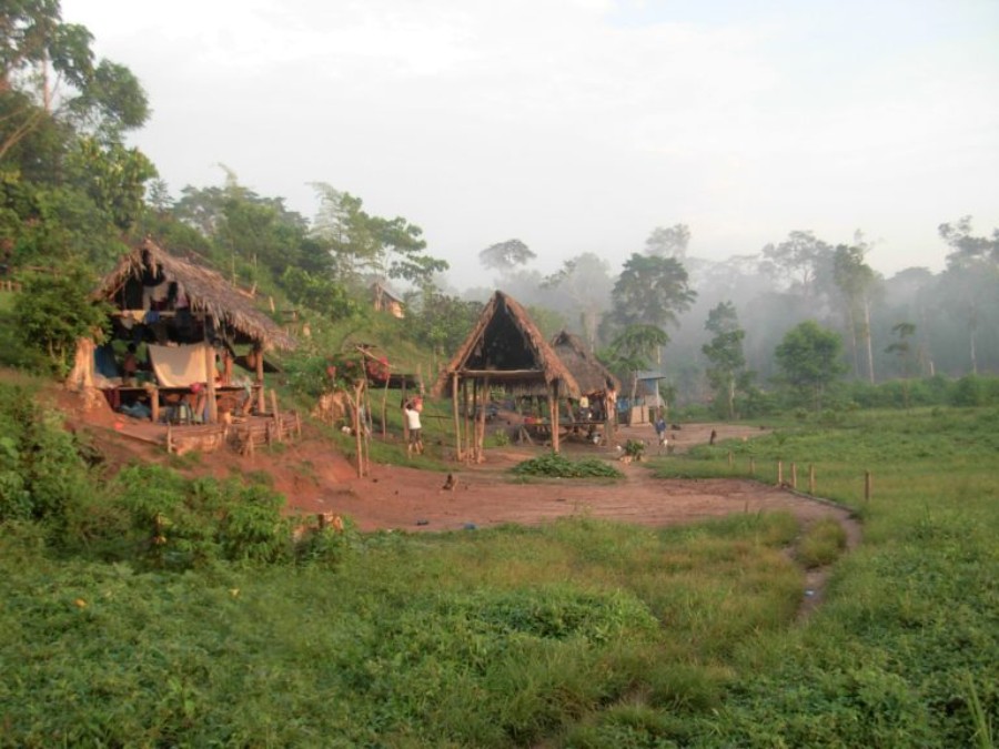 cacataibo