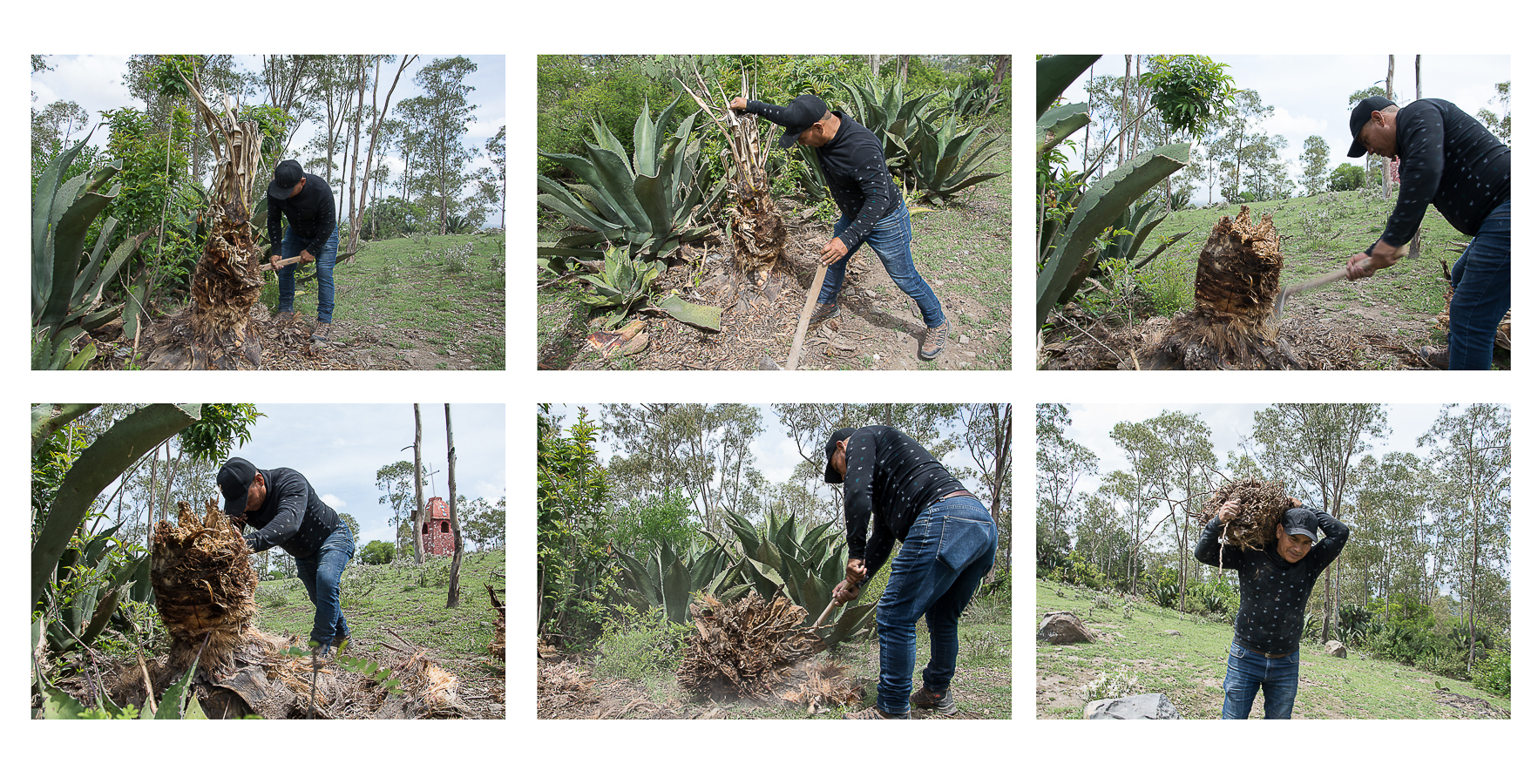 El baile de los Gracejos, una danza agrícola para atraer la lluvia