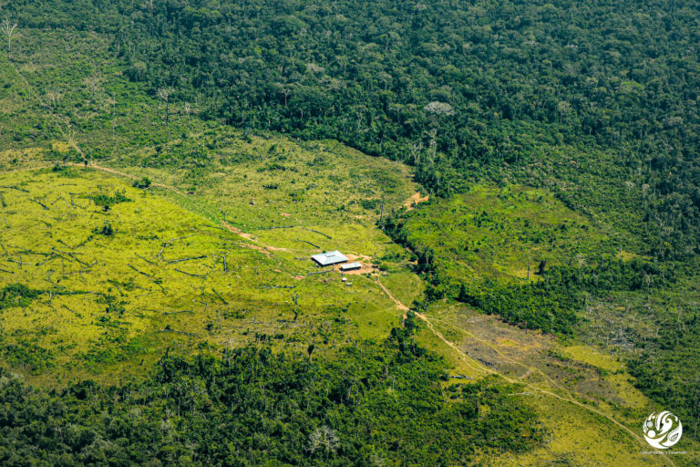 Comunidad indígena de Yaguará II le pide al presidente colombiano protección ante amenazas de grupos armados