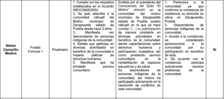 Candidaturas indígenas