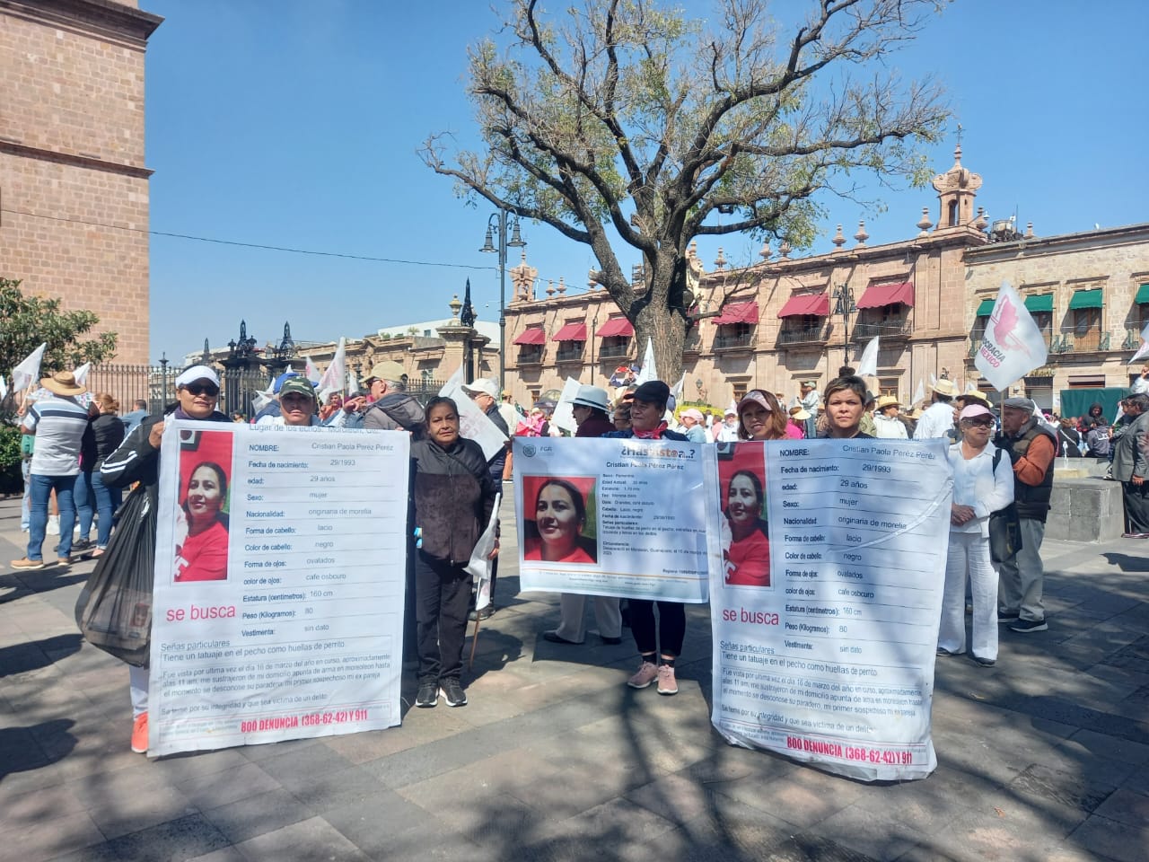 desaparecidas