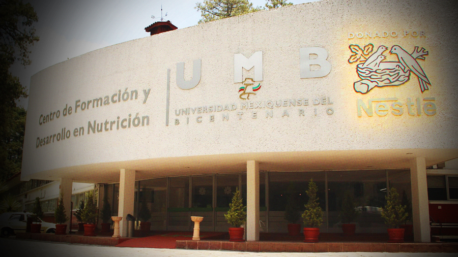 alimentos procesados